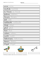 100 Fehlerwörter -SAS Lineatur 2H.pdf